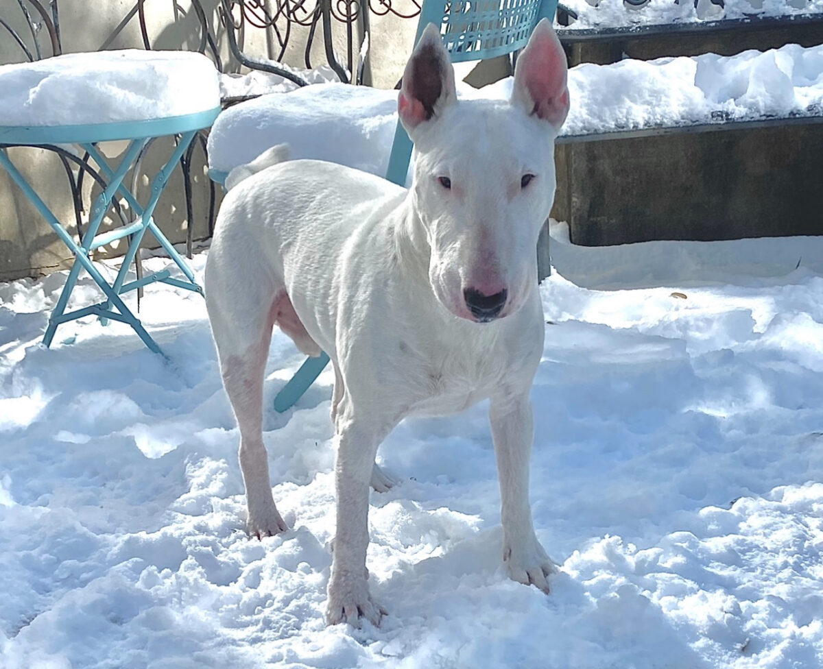 Casper