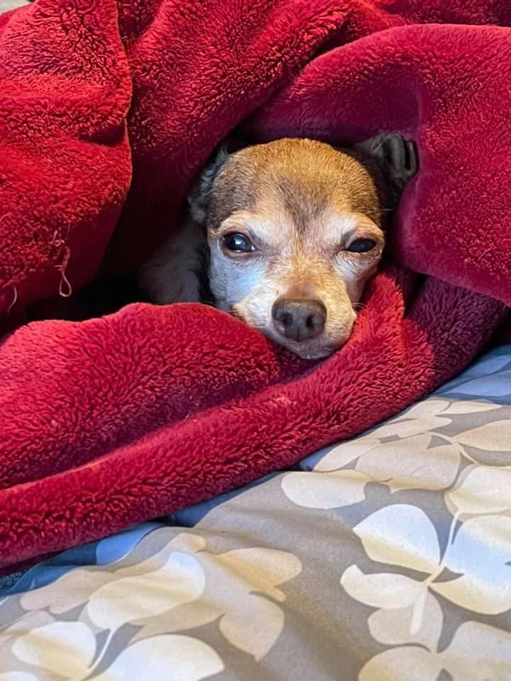Chloe