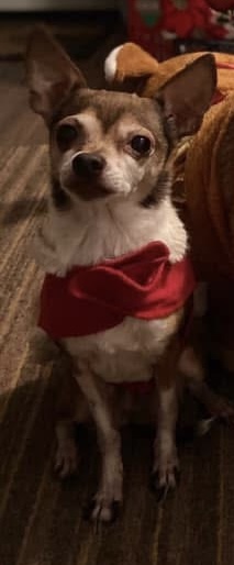 Chloe